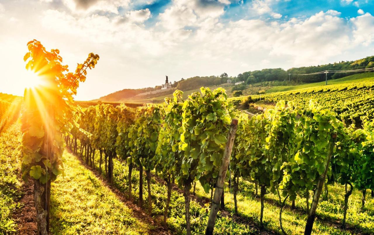 Fewo Zum Malerwinkel - Ruedesheim Ruedesheim am Rhein Ngoại thất bức ảnh