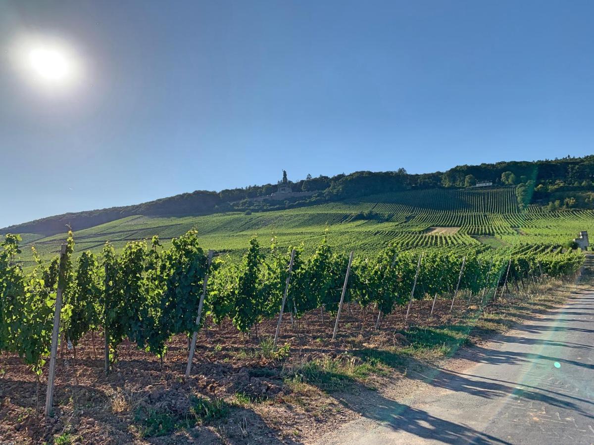Fewo Zum Malerwinkel - Ruedesheim Ruedesheim am Rhein Ngoại thất bức ảnh